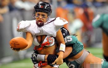 ��ʤ�Ƽ���Ƶ�����ݾ���ɽ��ץ�� ��ͽ������ɽ��Ұ(ͼ)...