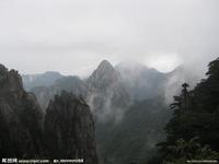 �����巴�ľ��ֲ���Ƶ���������η���ί������ �ݳ�����ԭ����������...